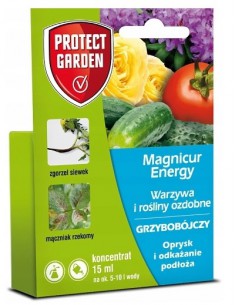 Magnicur Energy - 15 ml